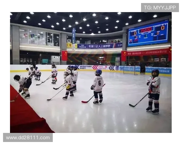 冰上曲棍球直播：热血对决，冰上激情即刻点燃